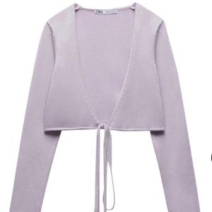 Zara Knit Crop Wrap Top